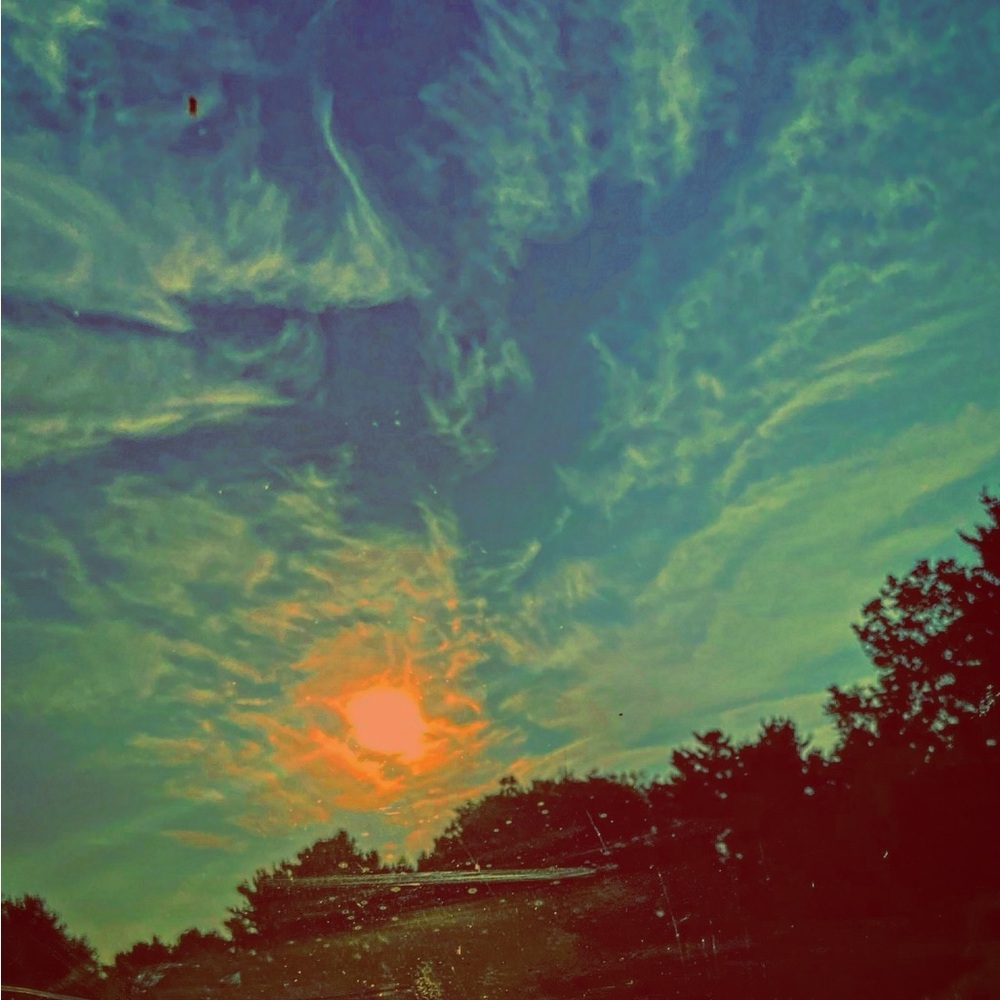 Custom Art Prints By Rocksie
Sun, Stars, Clouds, Humans, Flowers, Insects & Pets